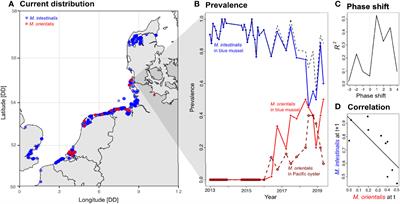 Invading the Occupied Niche: How a Parasitic Copepod of Introduced Oysters Can Expel a Congener From Native Mussels